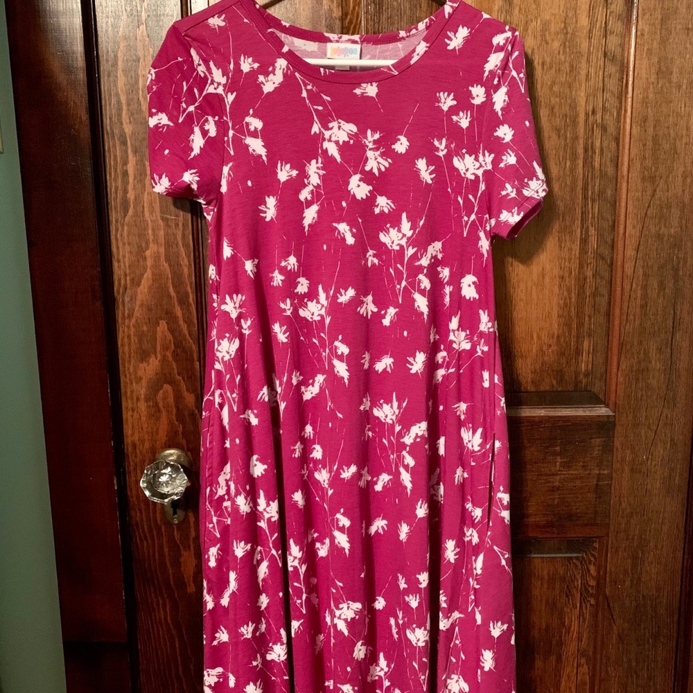 Lularoe Jessie Swing Dress